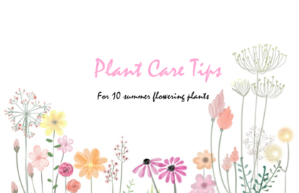 For 10 summer flowering plants